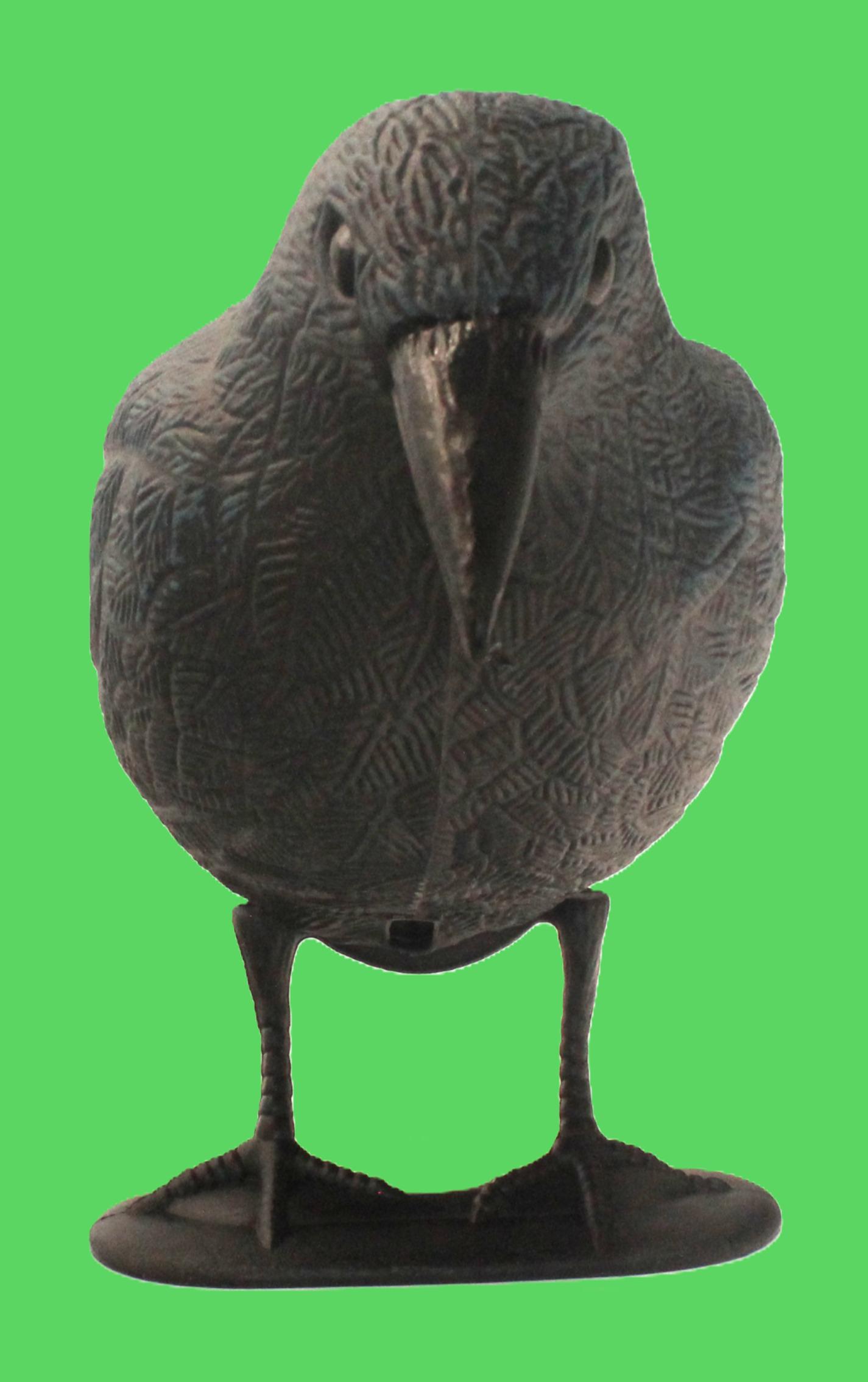 Crow